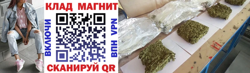 ГАШ Суворов