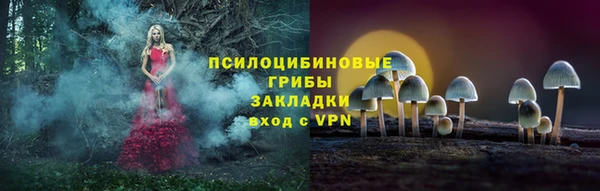 кокс Инта