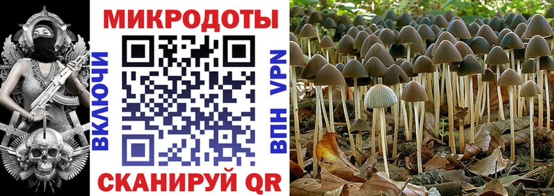 Галлюциногенные грибы Magic Shrooms  Купить закладки  Суворов 